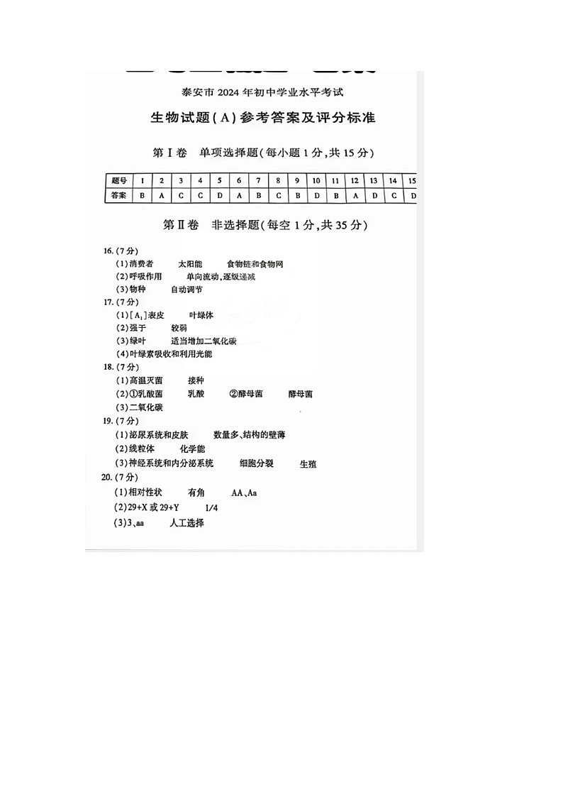 新建 DOC 文档第1页
