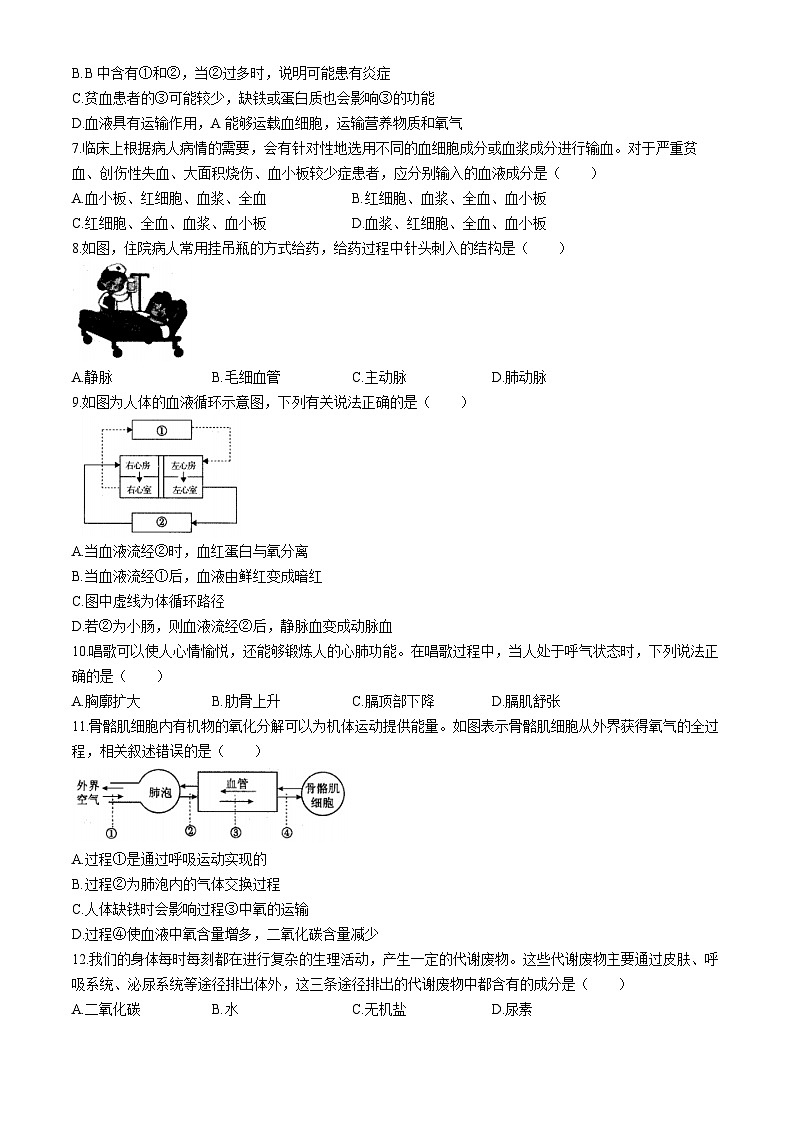 安徽省淮南市谢家集区等3地2023-2024学年七年级下学期6月期末生物试题第2页