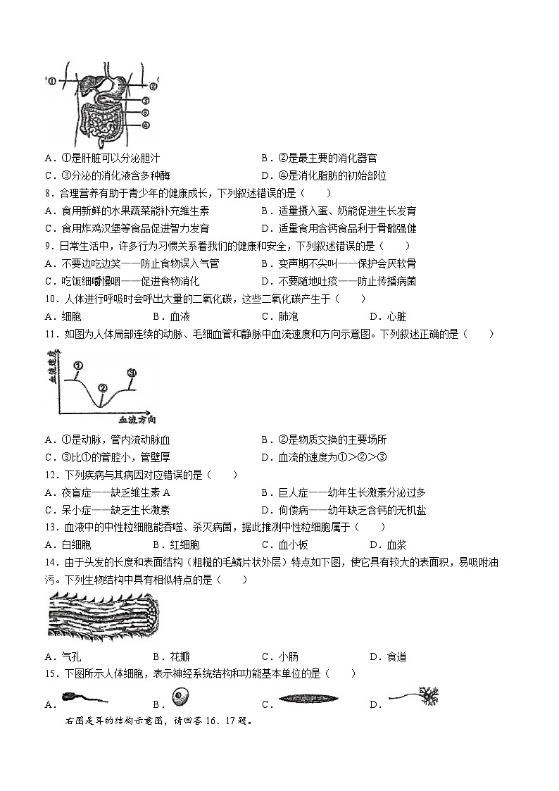 福建省福州市屏东中学、延安中学、第十九中学2023-2024学年七年级下学期期末考试生物试题第2页