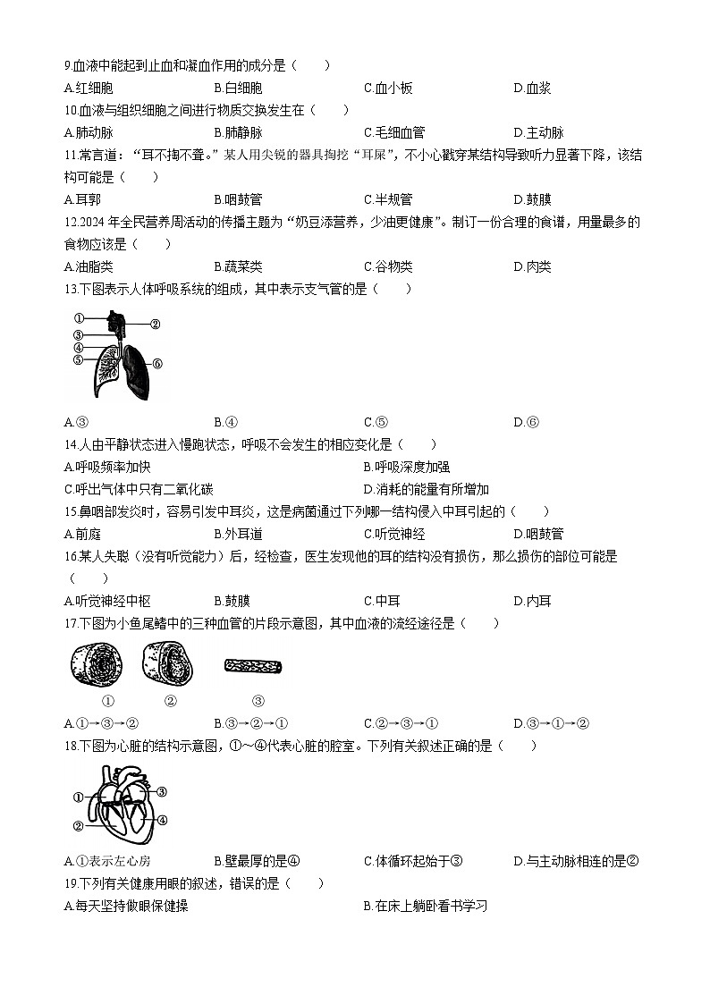 河北省邢台市襄都区英华教育集团2023-2024学年七年级下学期6月月考生物试题第2页
