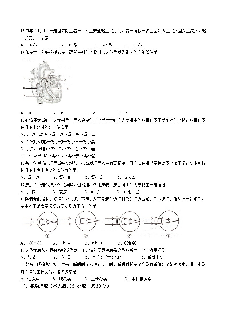 河南省开封市2023-2024学年七年级下学期期末考试生物试卷第3页