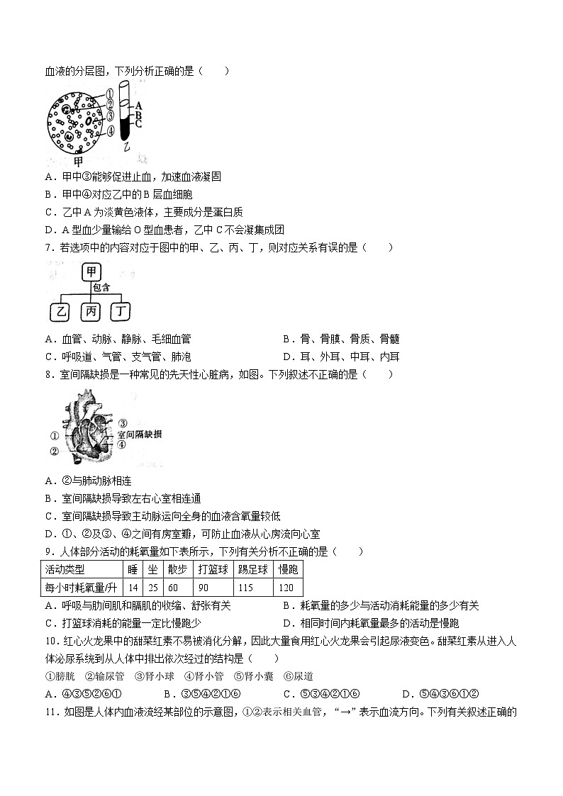 河南省平顶山市郏县2023-2024学年七年级下学期期末学情检测生物试题02