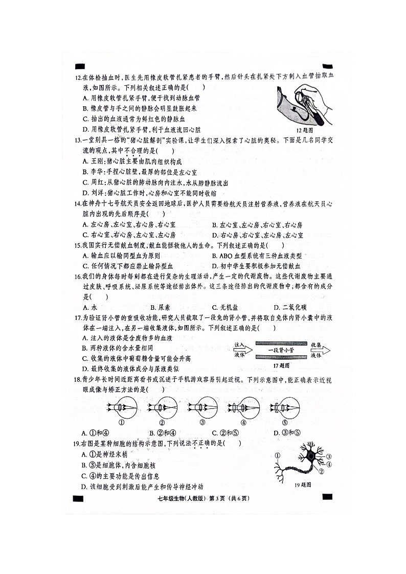 河北省邯郸市冀南新区2023-2024学年七年级下学期6月期末生物试题03