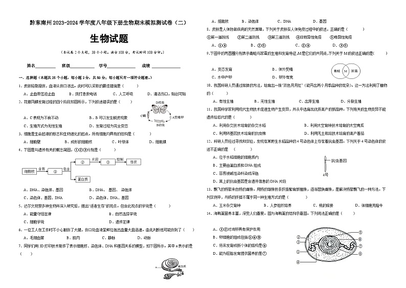 贵州省黔东南苗族侗族自治州2023-2024学年度八年级下册生物期末模拟测试卷（二）（含答案）第1页
