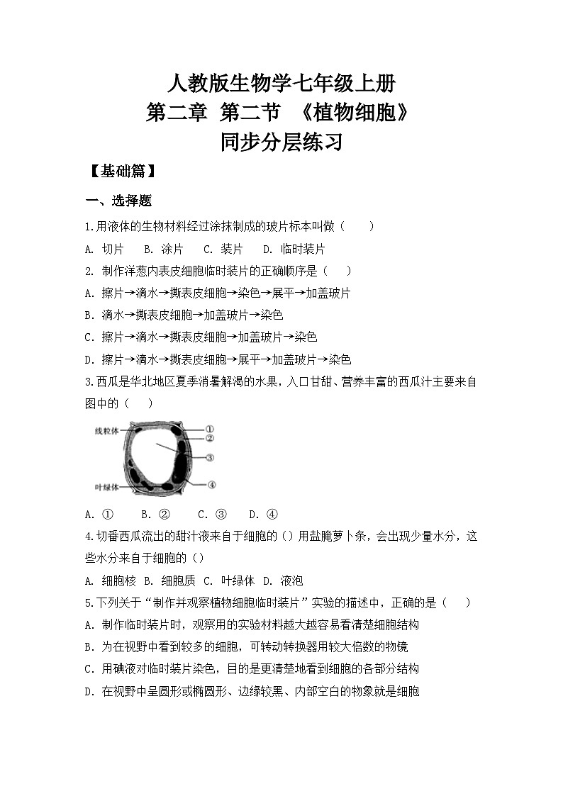 【核心素养目标】人教版初中生物七年级上册1.2.2《植物细胞》 课件+视频+教学设计+同步分层练习（含答案）01