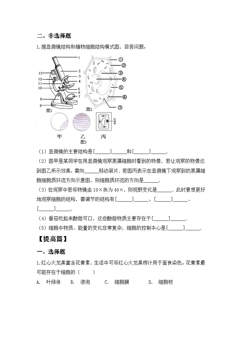 【核心素养目标】人教版初中生物七年级上册1.2.2《植物细胞》 课件+视频+教学设计+同步分层练习（含答案）02