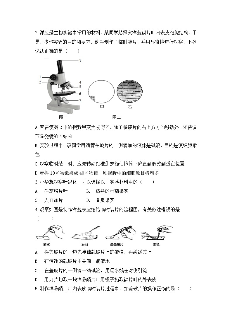 【核心素养目标】人教版初中生物七年级上册1.2.2《植物细胞》 课件+视频+教学设计+同步分层练习（含答案）03