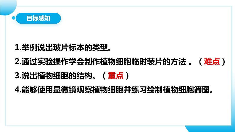 【核心素养目标】人教版初中生物七年级上册1.2.2《植物细胞》 课件+视频+教学设计+同步分层练习（含答案）05