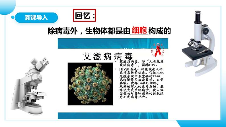 【核心素养目标】人教版初中生物七年级上册1.2.1《学习使用显微镜》 课件+视频+教学设计+同步分层练习（含答案）03