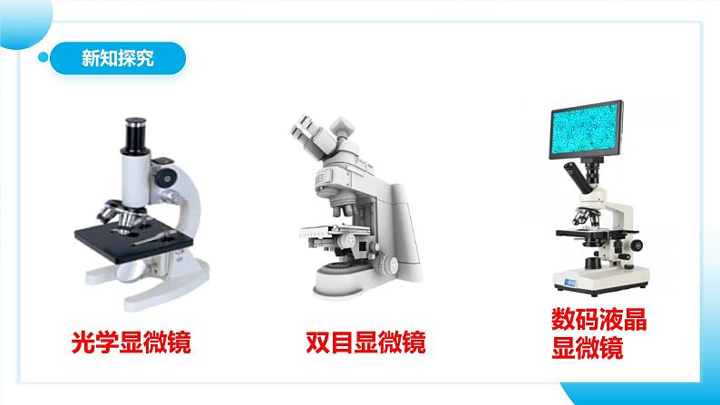 【核心素养目标】人教版初中生物七年级上册1.2.1《学习使用显微镜》 课件+视频+教学设计+同步分层练习（含答案）07