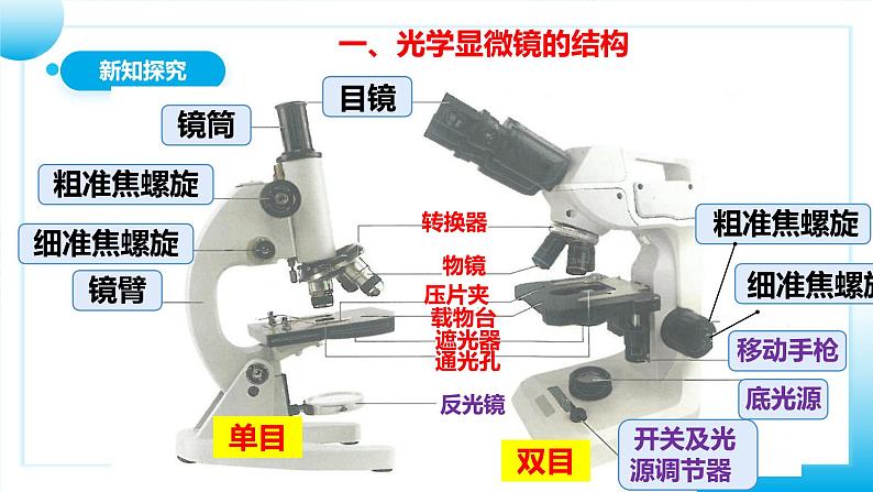 【核心素养目标】人教版初中生物七年级上册1.2.1《学习使用显微镜》 课件+视频+教学设计+同步分层练习（含答案）08