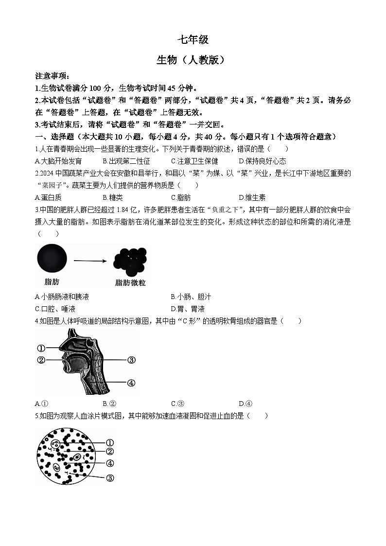 安徽省亳州市利辛县2023-2024学年七年级下学期6月期末生物试题(无答案)第1页