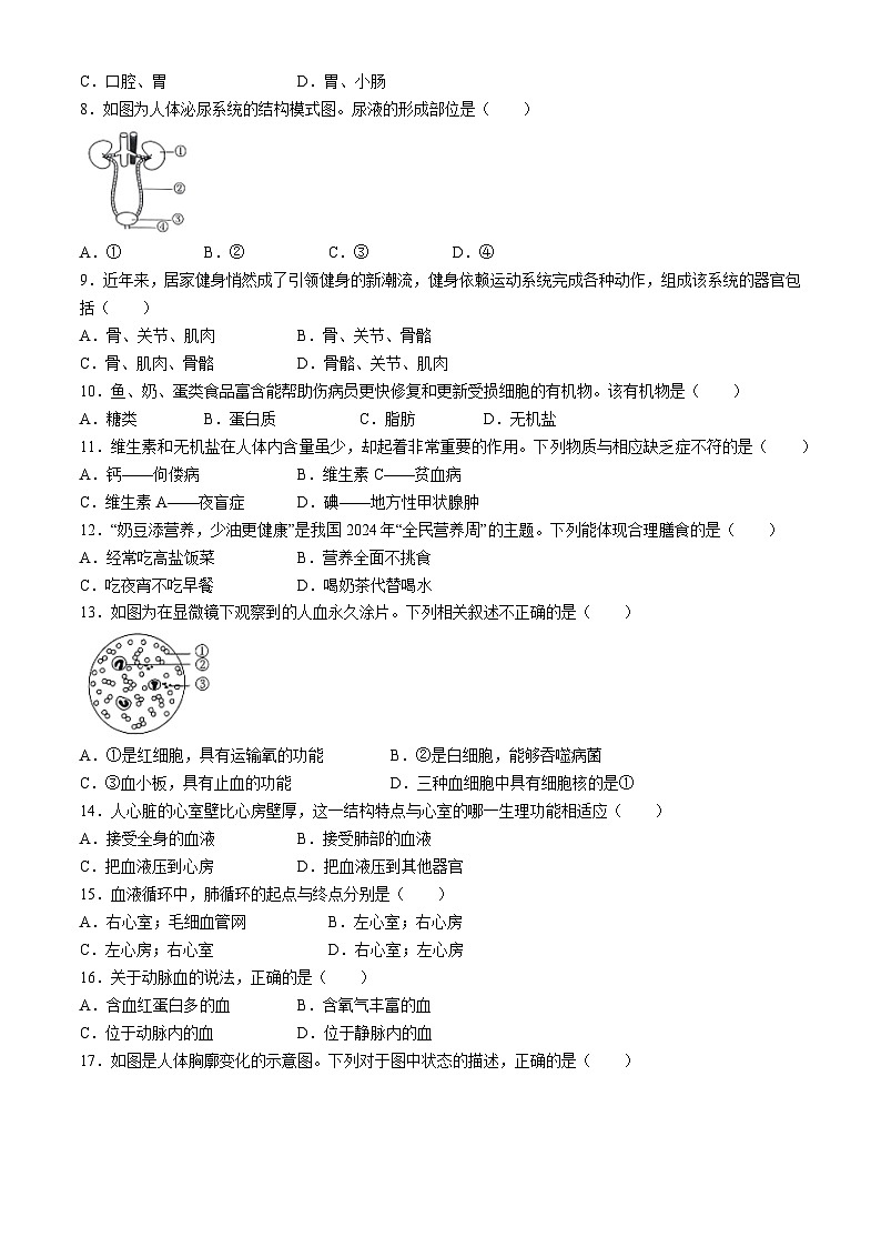 安徽省滁州市凤阳县2023-2024学年七年级下学期6月期末生物试题(无答案)第2页