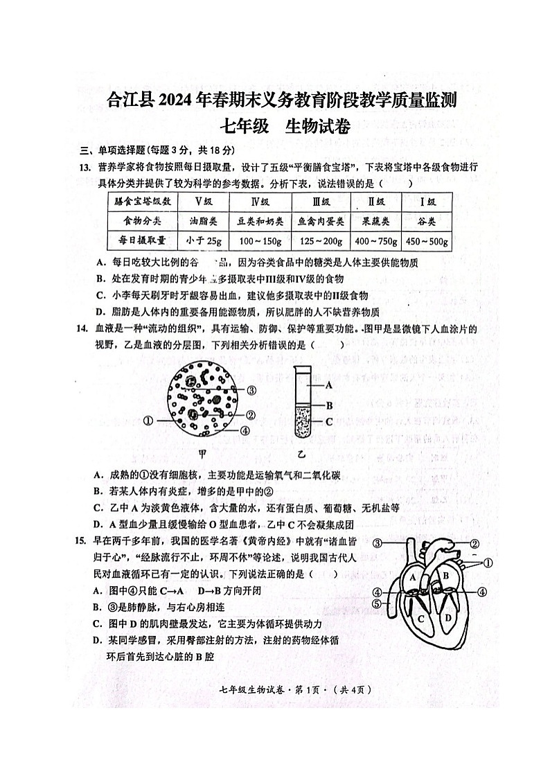 四川省泸州市合江县2023-2024学年七年级下学期期末考试生物试题第1页