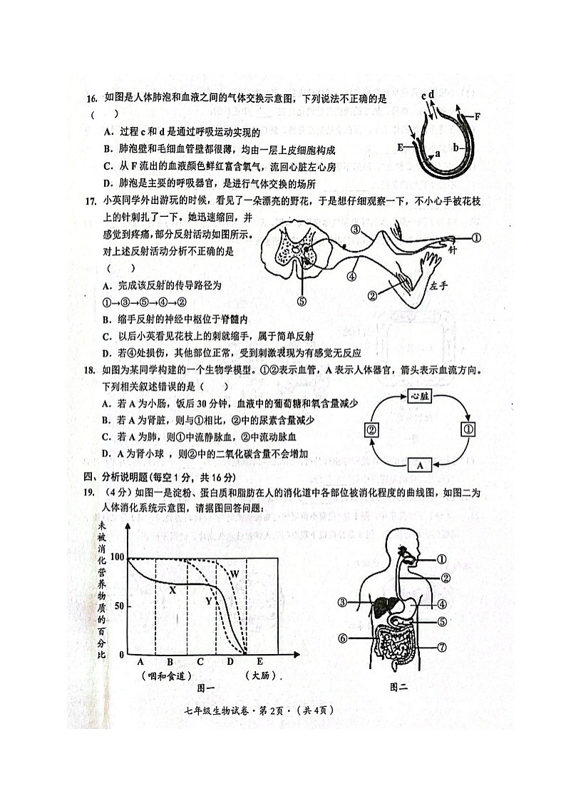 四川省泸州市合江县2023-2024学年七年级下学期期末考试生物试题第2页