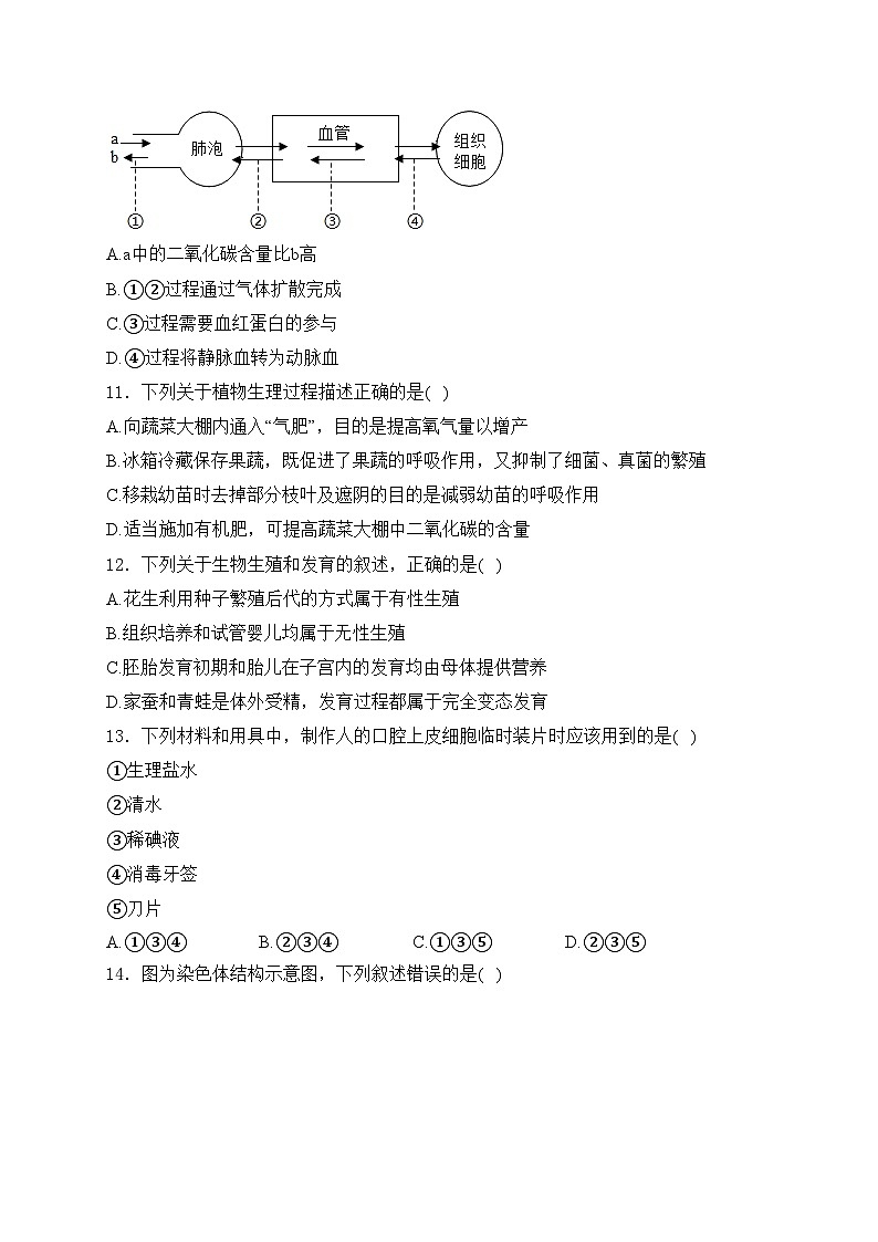 宁夏银川市第六中学2022-2023学年八年级下学期期末生物试卷(含答案)第3页