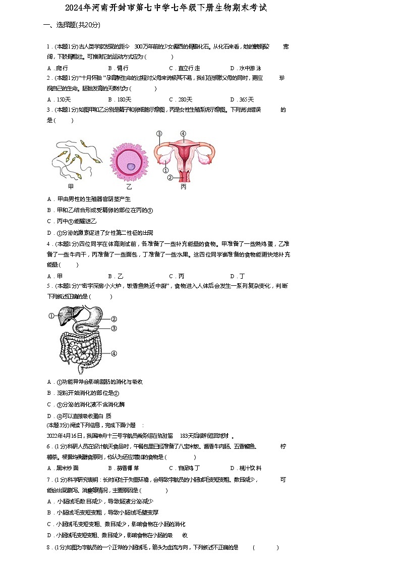 河南省开封市第七中学2023-2024学年七年级下学期期末考试生物试题第1页
