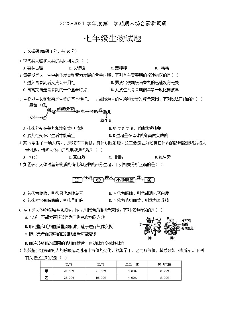 安徽省安庆市2023-2024学年七年级下学期6月期末生物试题01
