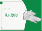 2.2.2细胞是生命活动的单位（课件+教案）北师大版 七上