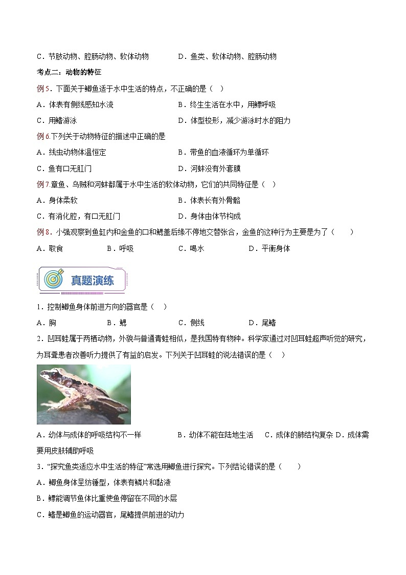 第02讲 动物的主要类群（二）（原卷版）第3页