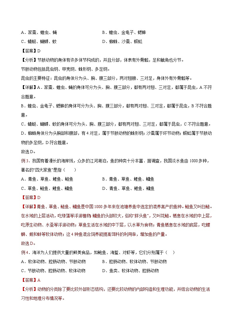 第02讲 动物的主要类群（二）（解析版）第3页