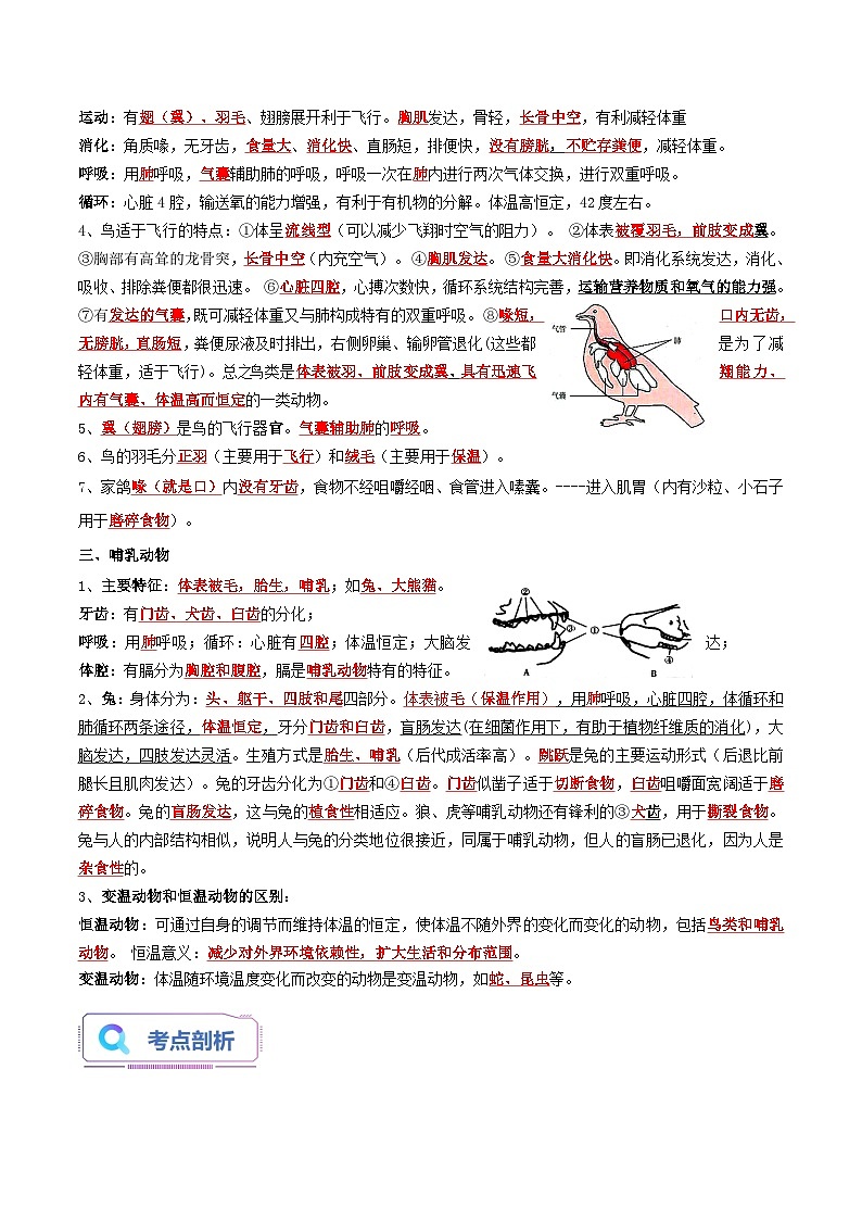 第03讲 动物的主要类群（三）-【暑假自学课】新八年级生物暑假精品课讲义（人教版）02