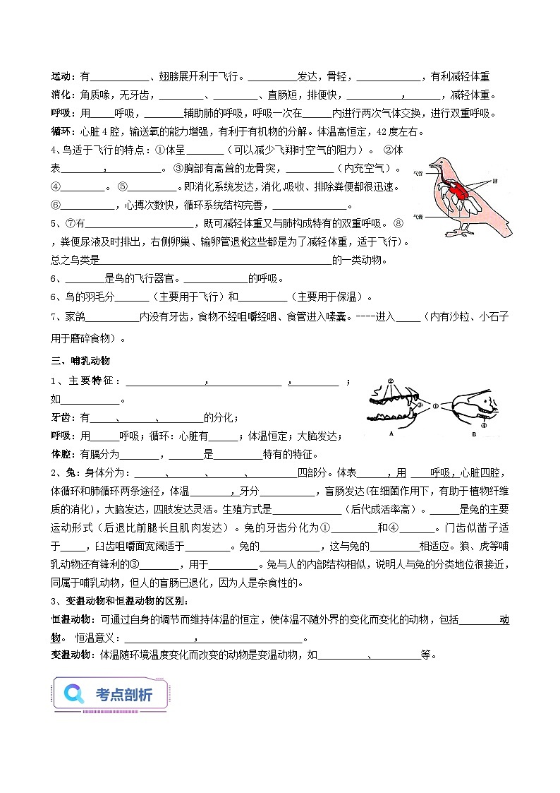 第03讲 动物的主要类群（三）-【暑假自学课】新八年级生物暑假精品课讲义（人教版）02