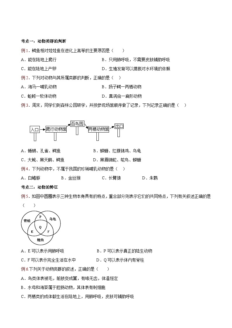 第03讲 动物的主要类群（三）-【暑假自学课】新八年级生物暑假精品课讲义（人教版）03