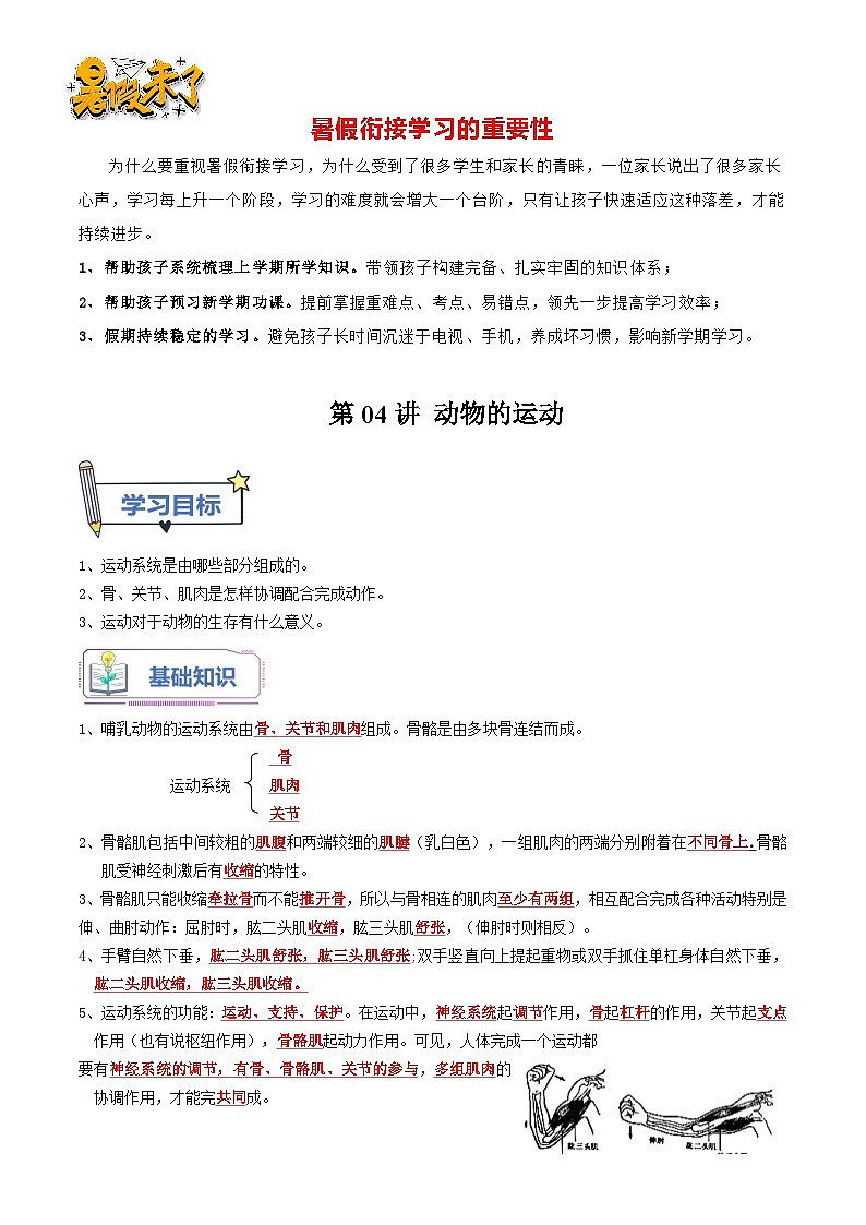 第04讲 动物的运动-【暑假自学课】新八年级生物暑假精品课讲义（人教版）01