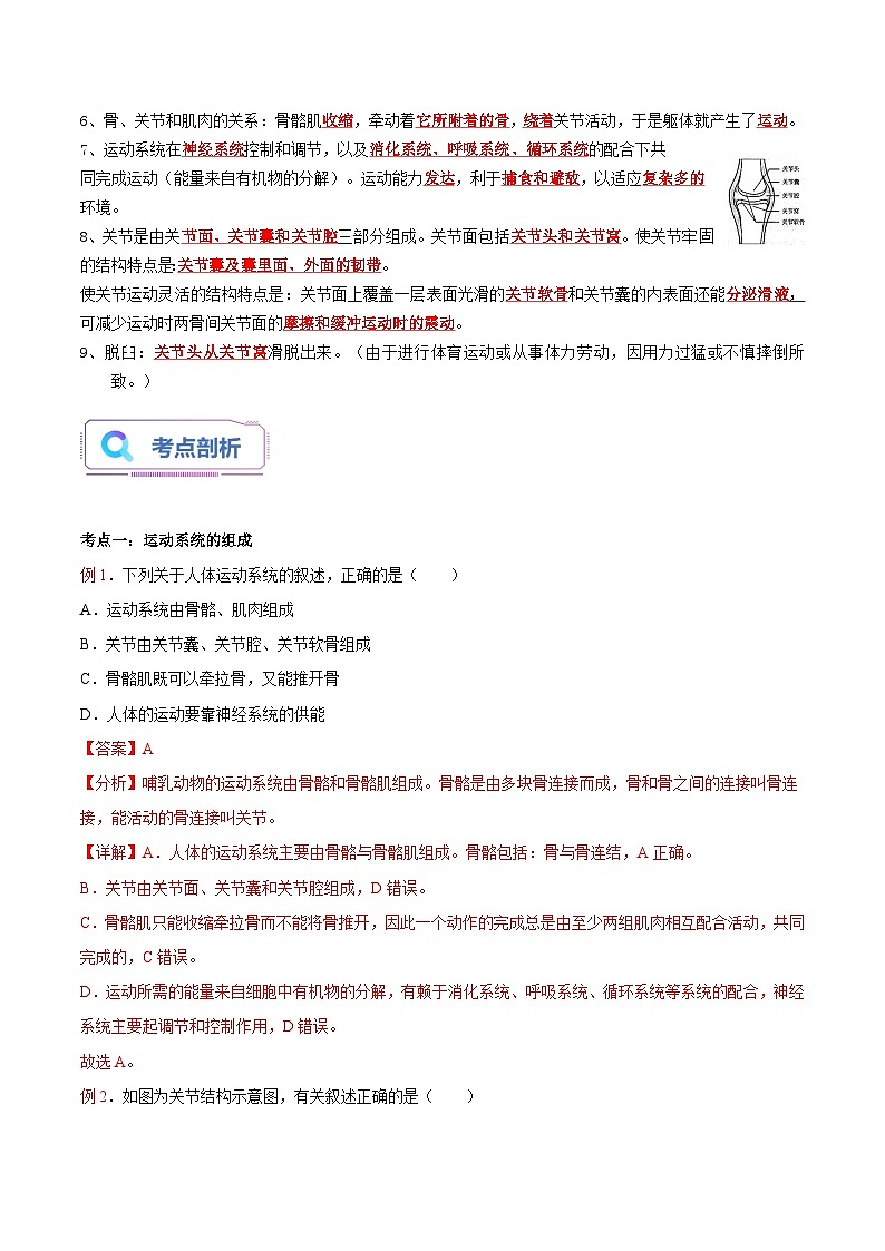 第04讲 动物的运动-【暑假自学课】新八年级生物暑假精品课讲义（人教版）02