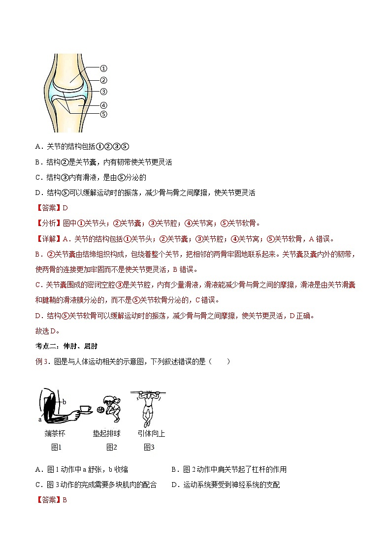 第04讲 动物的运动-【暑假自学课】新八年级生物暑假精品课讲义（人教版）03