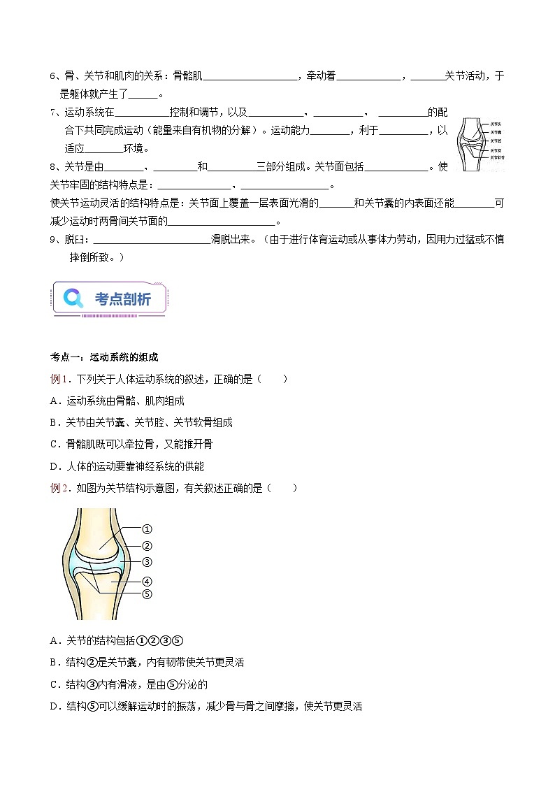 第04讲 动物的运动-【暑假自学课】新八年级生物暑假精品课讲义（人教版）02