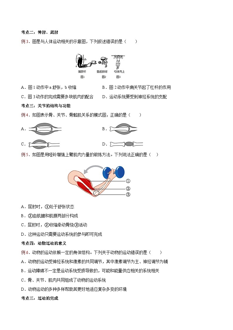 第04讲 动物的运动-【暑假自学课】新八年级生物暑假精品课讲义（人教版）03
