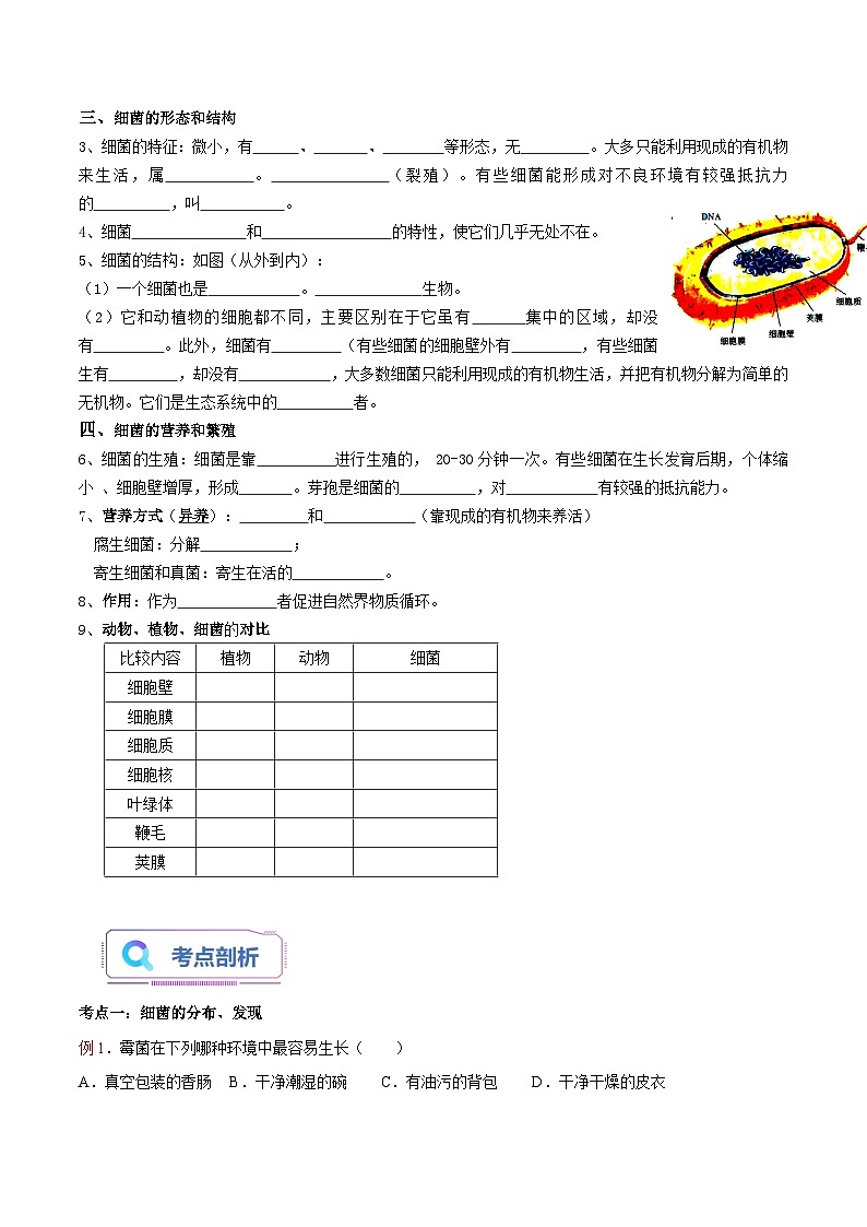 第07讲 细菌-【暑假自学课】新八年级生物暑假精品课讲义（人教版）02