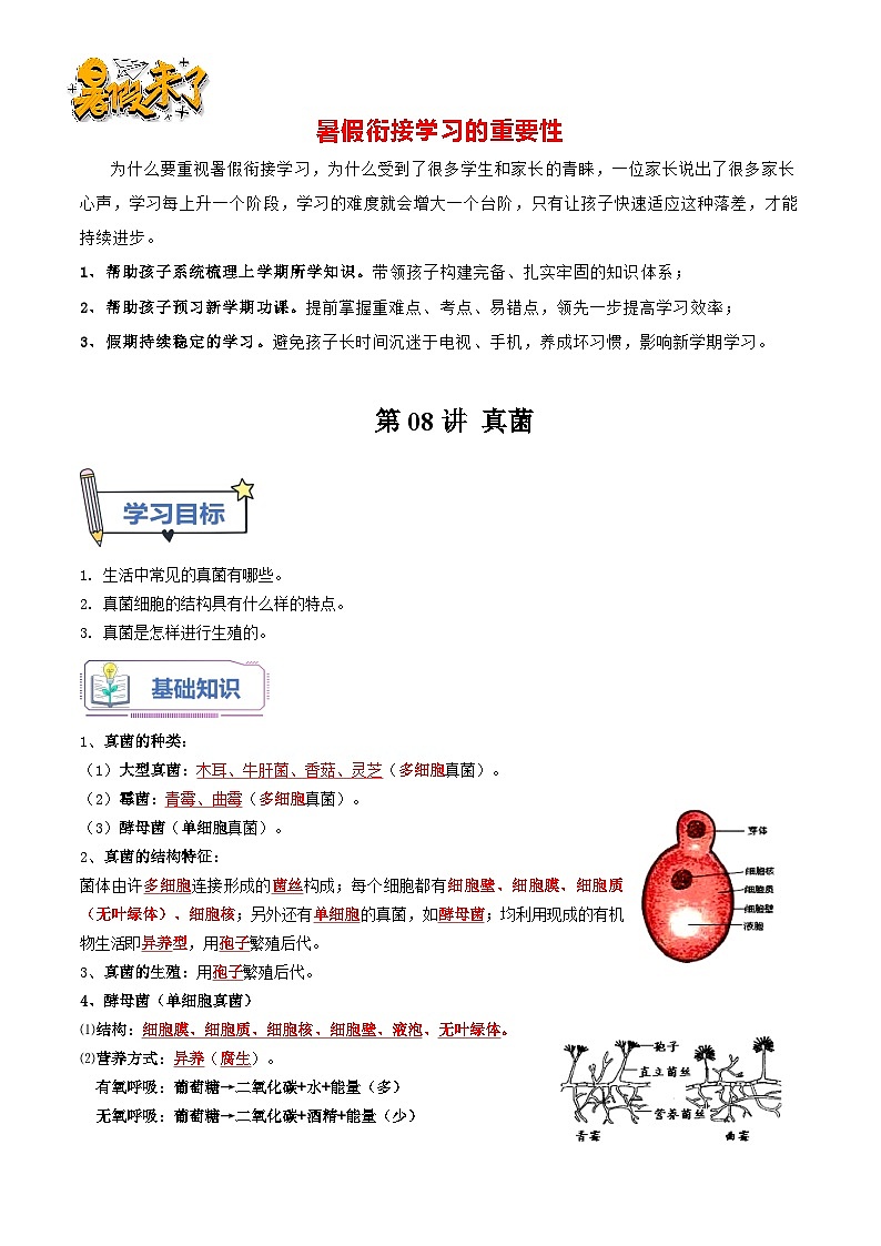 第08讲 真菌-【暑假自学课】新八年级生物暑假精品课讲义（人教版）01