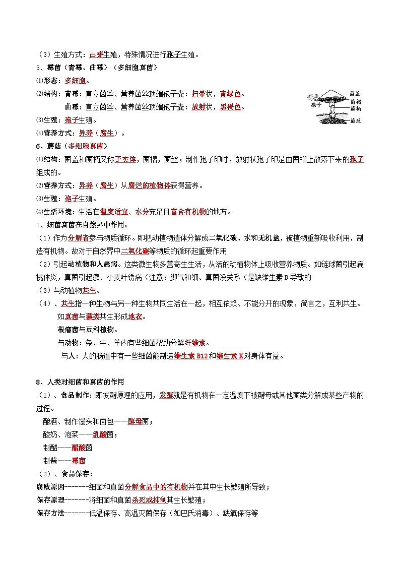 第08讲 真菌-【暑假自学课】新八年级生物暑假精品课讲义（人教版）02