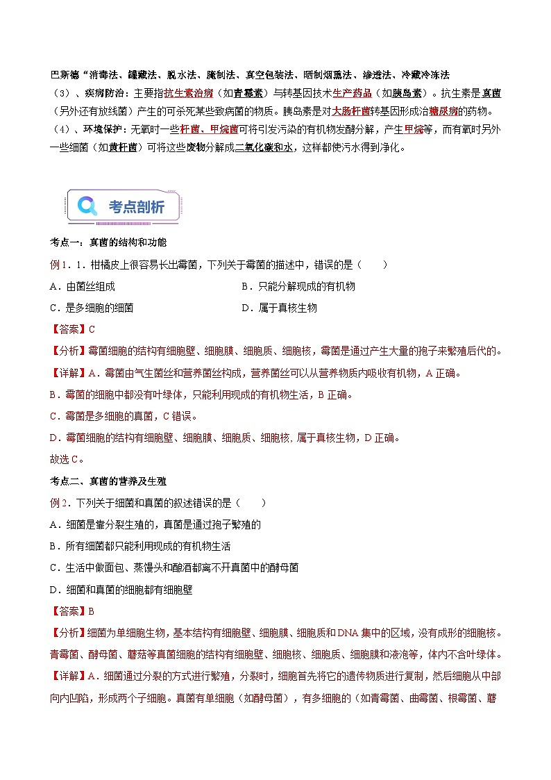 第08讲 真菌-【暑假自学课】新八年级生物暑假精品课讲义（人教版）03