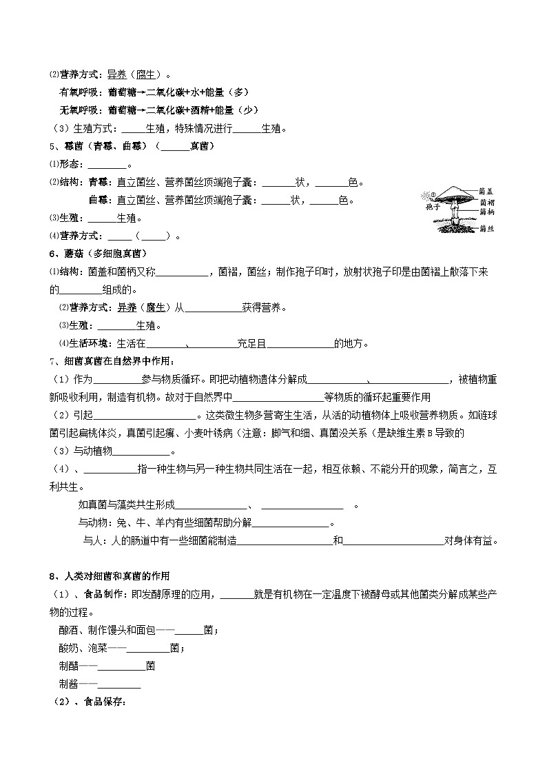 第08讲 真菌-【暑假自学课】新八年级生物暑假精品课讲义（人教版）02