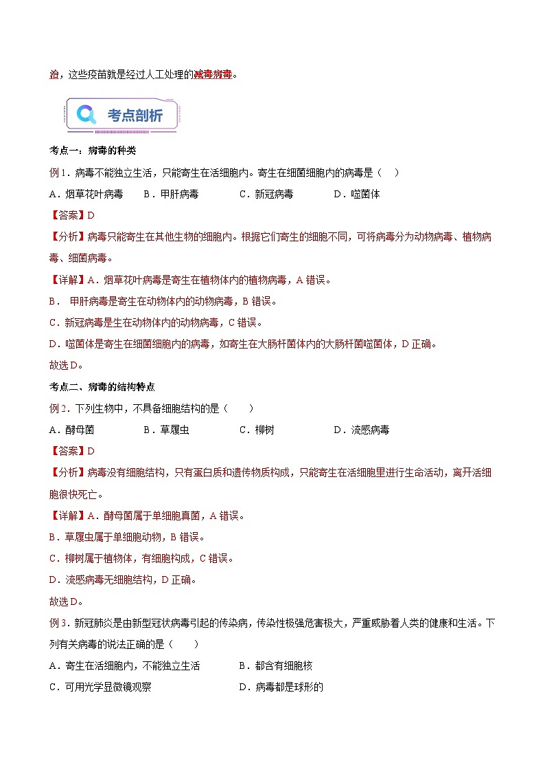 第09讲 病毒-【暑假自学课】新八年级生物暑假精品课讲义（人教版）02