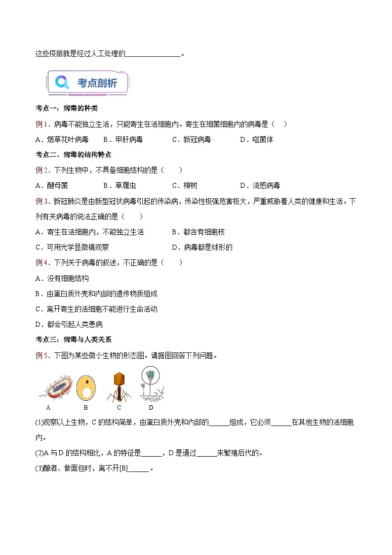 第09讲 病毒-【暑假自学课】新八年级生物暑假精品课讲义（人教版）02