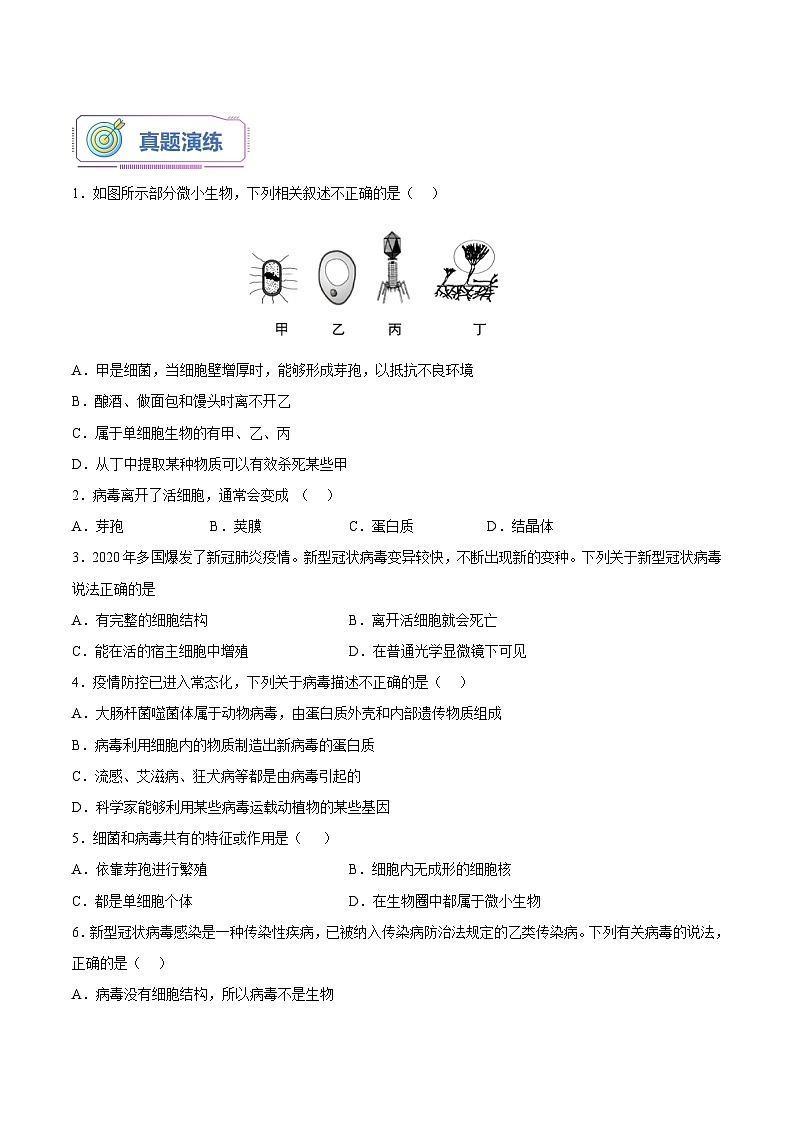 第09讲 病毒-【暑假自学课】新八年级生物暑假精品课讲义（人教版）03