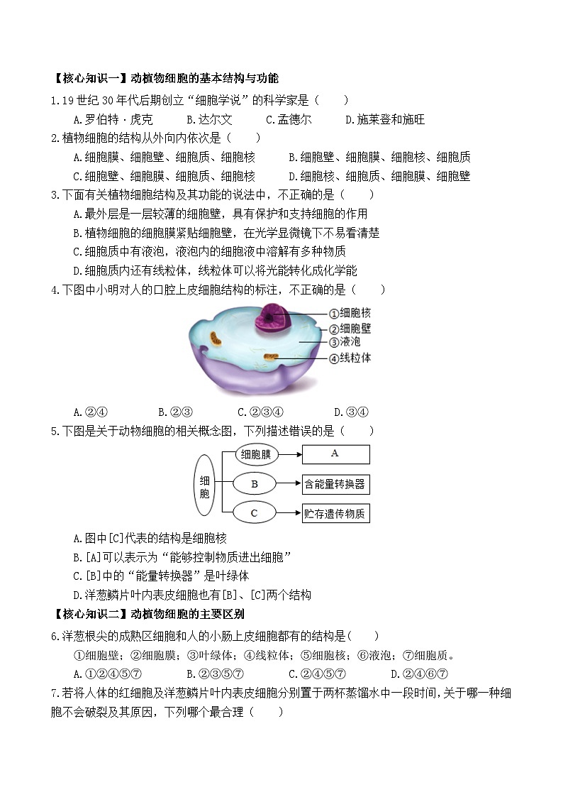 第06讲 动植物细胞-【暑假衔接】新七年级生物暑假精品课讲义（人教版）03