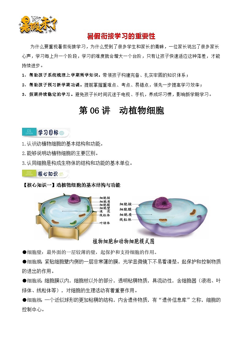 第06讲 动植物细胞-【暑假衔接】新七年级生物暑假精品课讲义（人教版）01