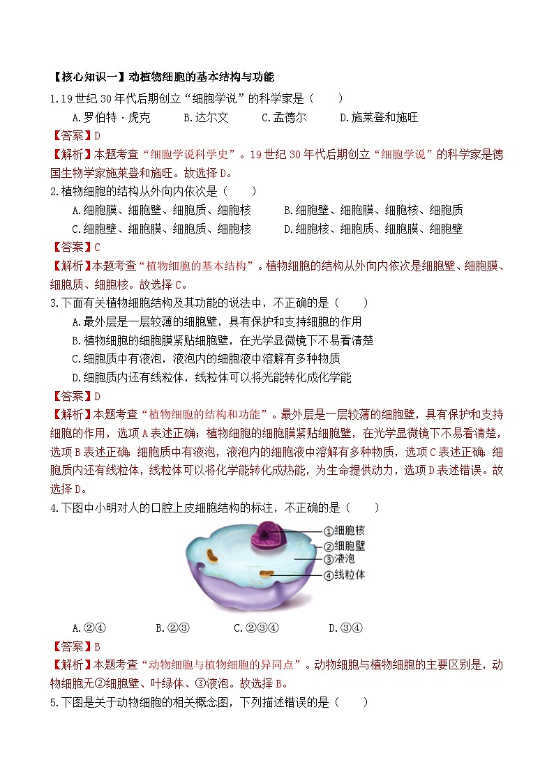 第06讲 动植物细胞-【暑假衔接】新七年级生物暑假精品课讲义（人教版）03