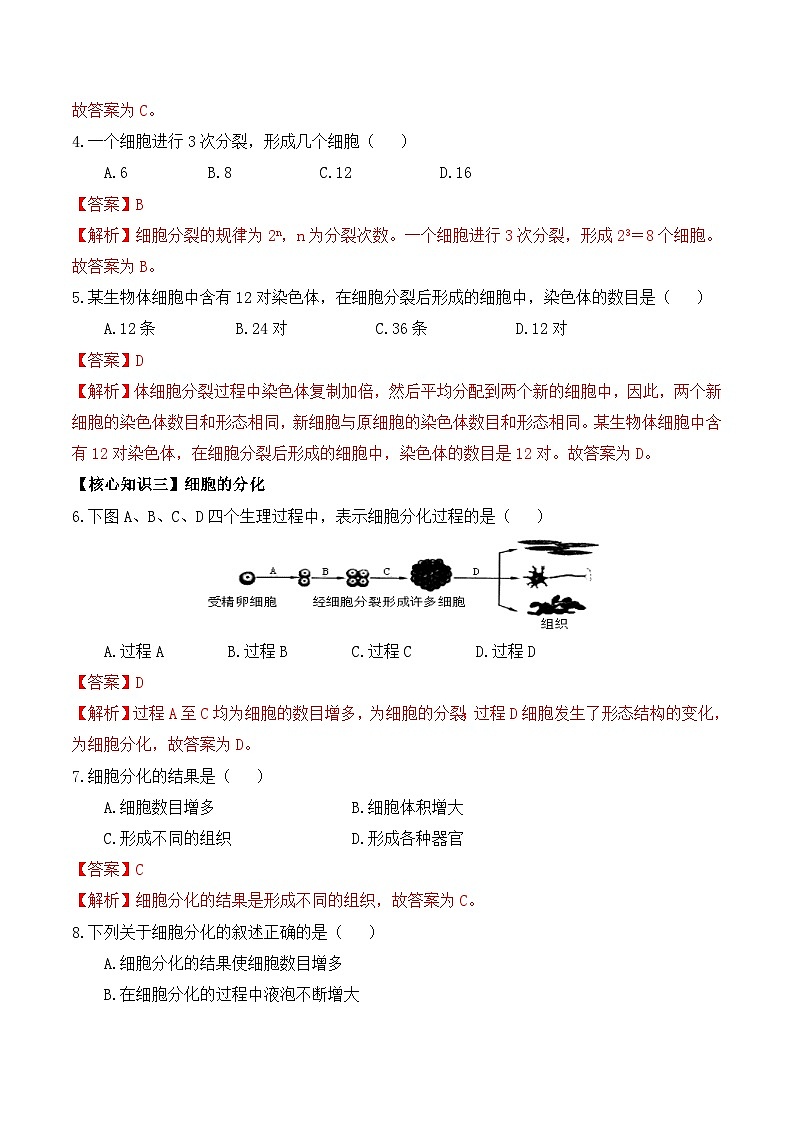 第08讲 细胞的生长、分裂与分化-【暑假衔接】新七年级生物暑假精品课讲义（人教版）03