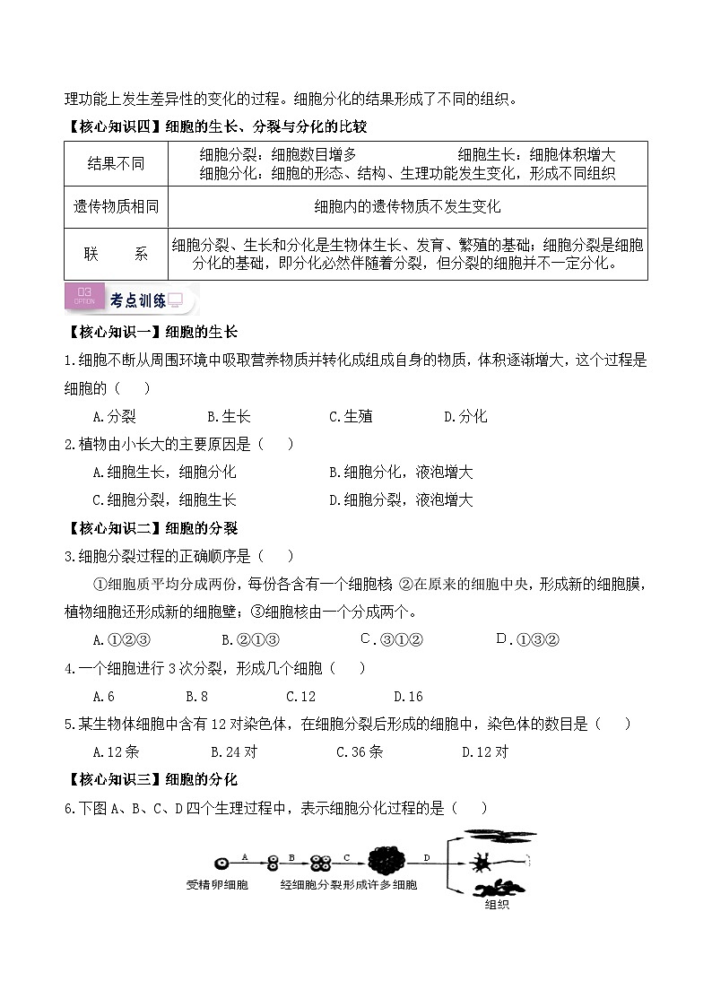 第08讲 细胞的生长、分裂与分化-【暑假衔接】新七年级生物暑假精品课讲义（人教版）02