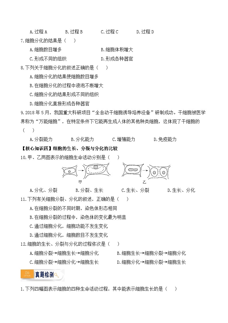 第08讲 细胞的生长、分裂与分化-【暑假衔接】新七年级生物暑假精品课讲义（人教版）03