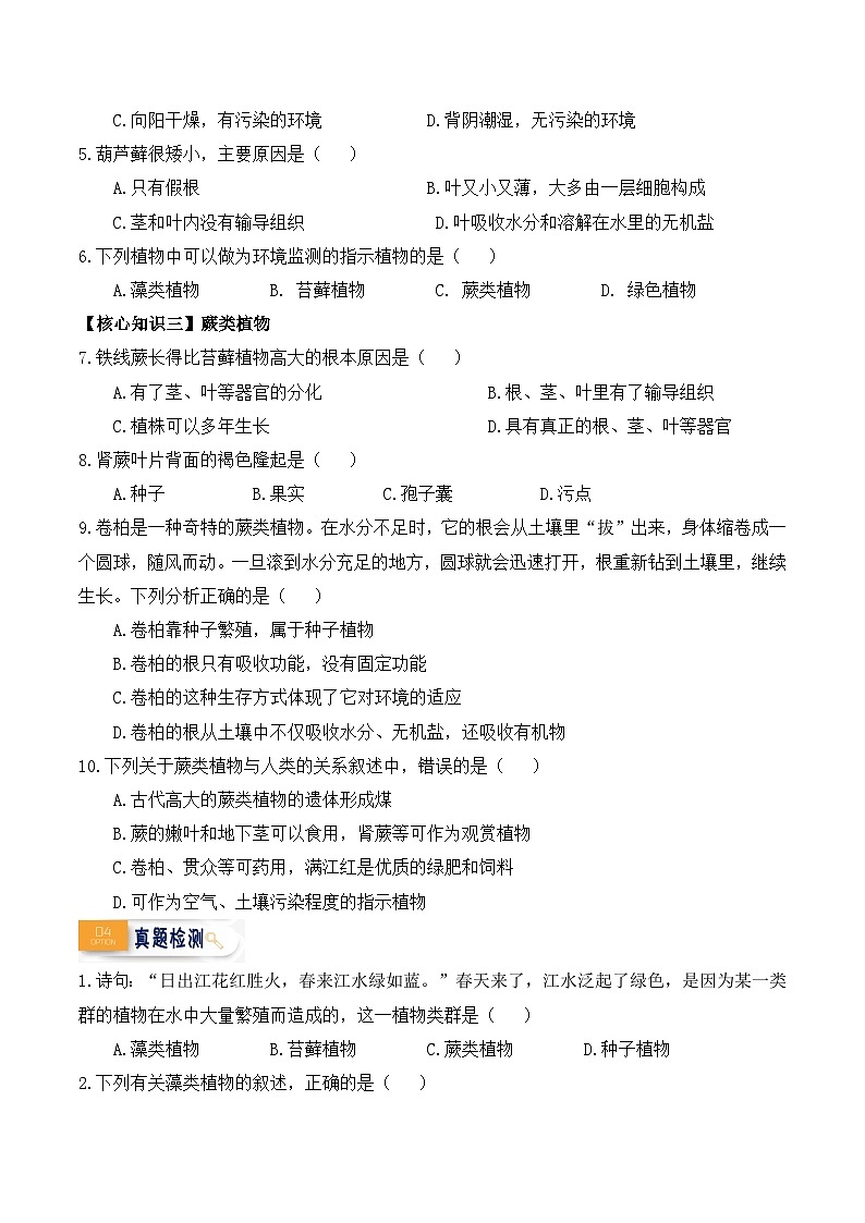 第11讲 孢子植物——藻类、苔癣和蕨类植物（原卷版）第3页