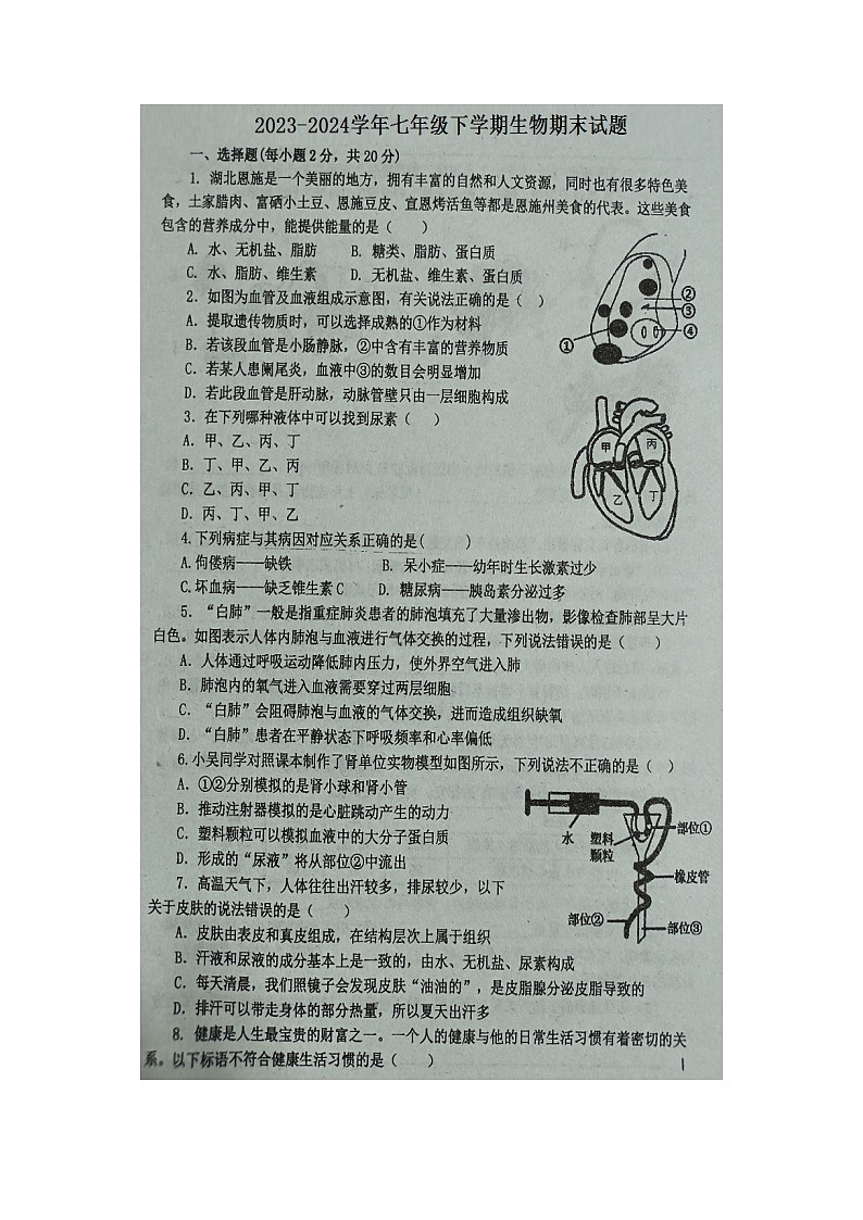 湖北省利川市都亭初级中学2023-2024学年七年级下学期生物期末试题+第1页