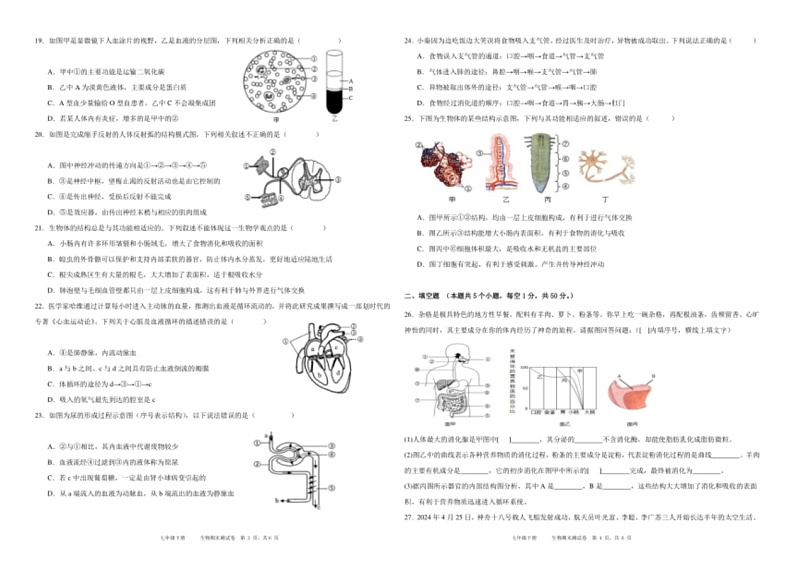 [生物]贵州省黔东南苗族侗族自治州2023～2024学年度七年级下册期末模拟测试卷(有答案)02